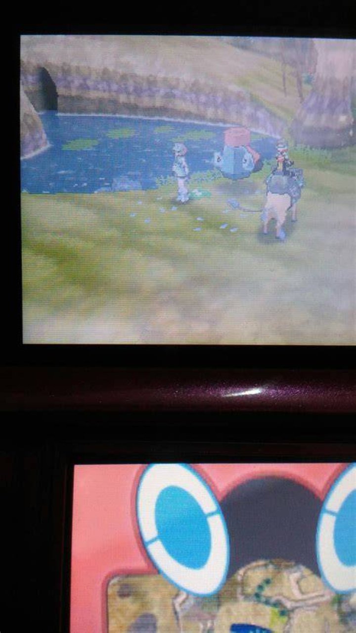 Can we access this cave in Poni Meadow?