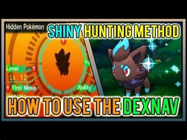 Dexnav Shiny Chaining tutoral?