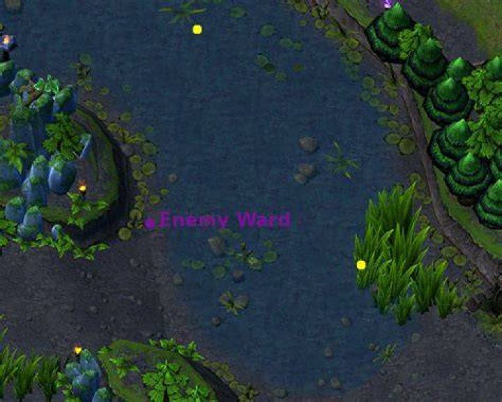Enemy warding