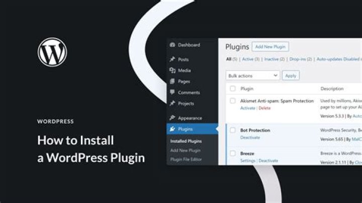 How do I add plugins to a singleplayer world?