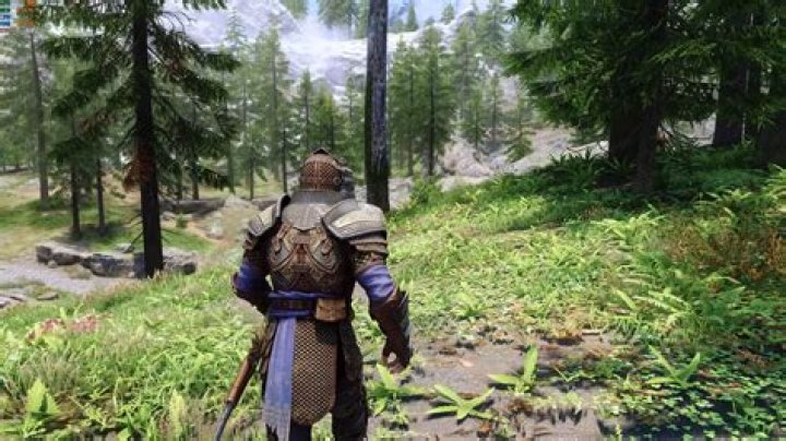 How do you manage the compatibility between mods in Skyrim?