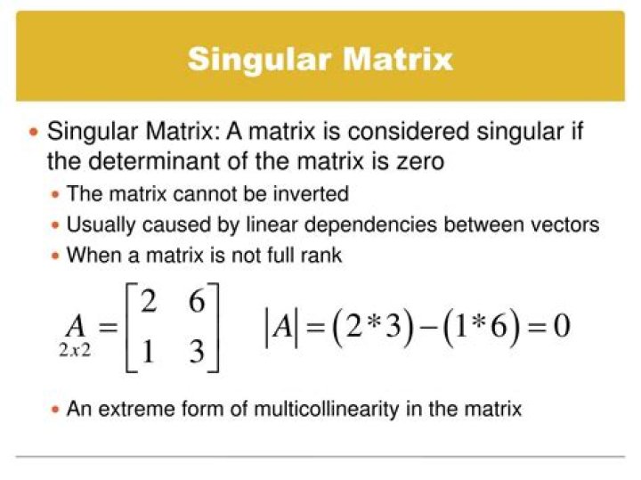 Inverse of a singular Matrix