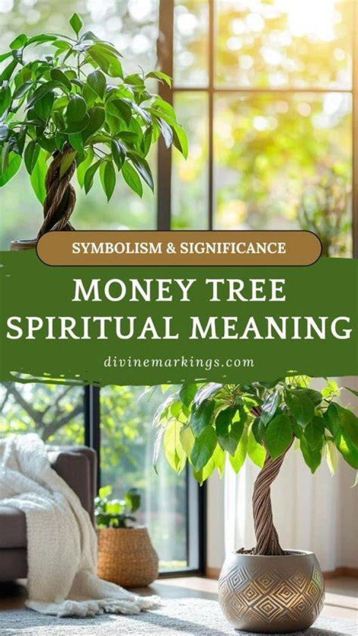 What does the new money tree yield upon removal?