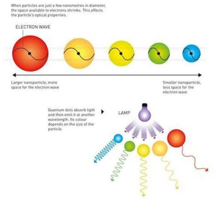 What exactly is a 0-form?