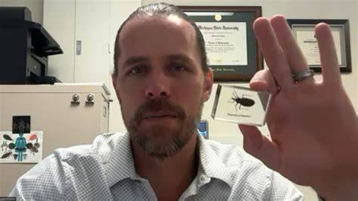 Would this be considered a bug